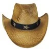 CHARLIE 1 HORSE Stars And Stripes Straw Western Hat -Brixton Hats shop 200328