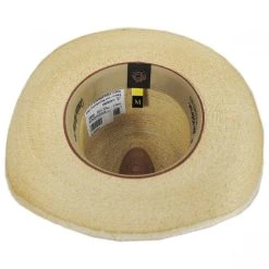 CHARLIE 1 HORSE Wild Thing Palm Straw Western Hat -Brixton Hats shop 391684