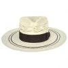 Biltmore Chiron Wide Brim Bangora Straw Fedora Hat 2 Biltmore Chiron Wide Brim Bangora Straw Fedora Hat -Brixton Hats shop 393803