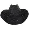 Brixton Hats Houston Rush Straw Cowboy Hat - Black -Brixton Hats shop 440913