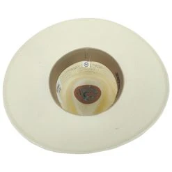 CHARLIE 1 HORSE Chisos Shantung Straw Fedora Hat -Brixton Hats shop 442040